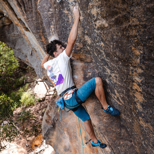 Koala Climber Unisex Tee | Ecru